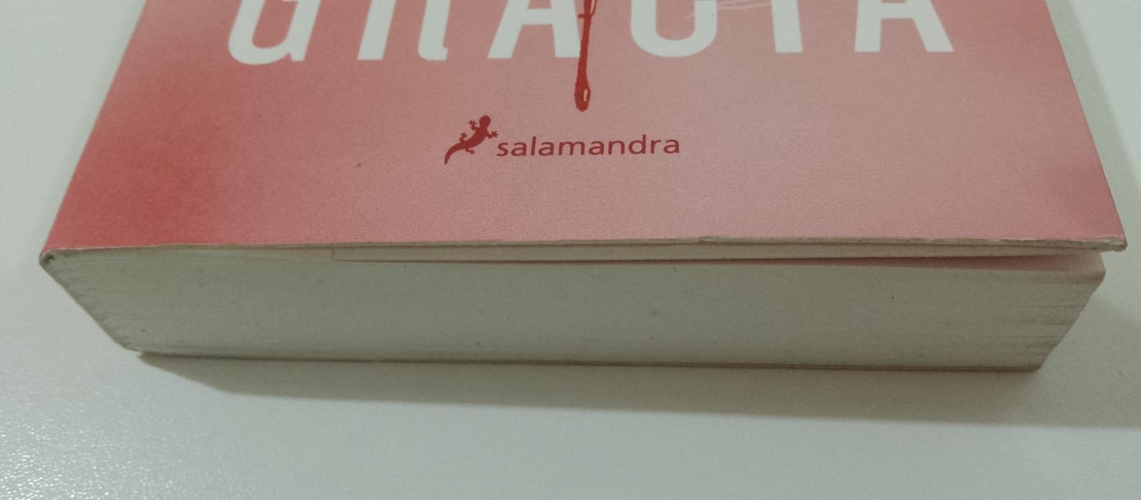 El año de gracia (saldo selección) - Imagen 2