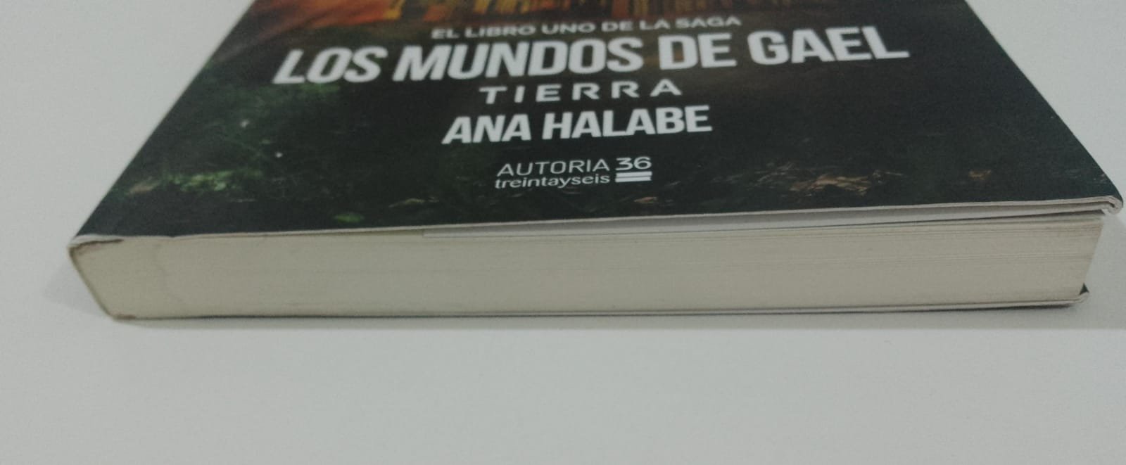 Los mundos de Gael - Tierra (saldo selección) - Imagen 2